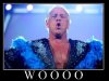 ric-flair-woo.jpg