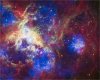 the Tarantula Nebula.jpg