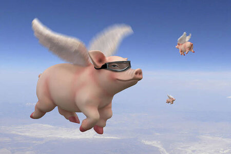 pigs-fly-1-mike-mcglothlen.jpg