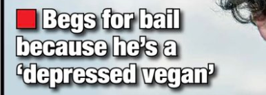 Screenshot 2022-12-14 10.24.12 AM.png