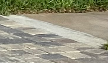 Screenshot 2024-08-31 4.42.26 PM.png