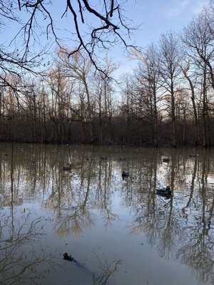 IMG_8236.jpeg IMG_8236.jpeg