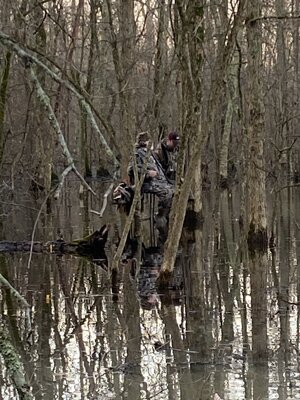 IMG_8238.jpeg IMG_8238.jpeg