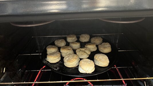 Homemade biscuits.jpeg