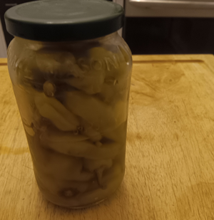 Screenshot 2025-04-28 8.06.47 PM.png