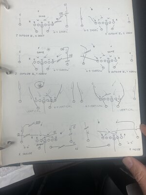 IMG_9031.jpeg IMG_9031.jpeg