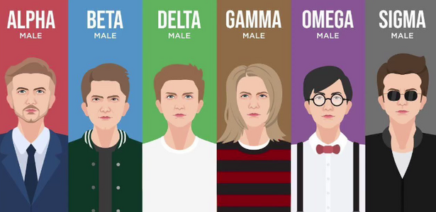 Screenshot 2025-08-31 4.09.20 AM.png