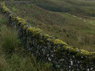 Screenshot 2025-09-17 12.29.44 PM.png