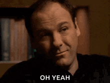 the-sopranos-tony-soprano (5).gif