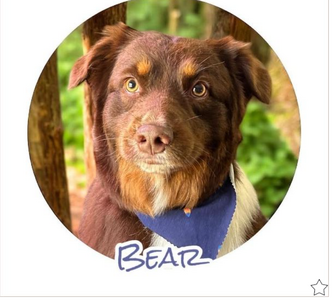 Screenshot 2025-10-04 7.48.04 AM.png