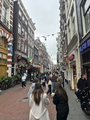 IMG_1931.jpeg IMG_1931.jpeg