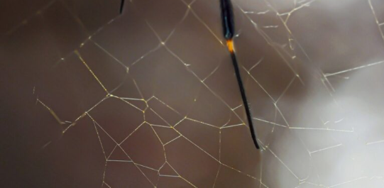 Screenshot 2025-11-13 3.35.00 PM.png