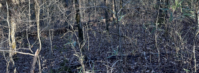 Screenshot 2025-12-20 2.02.03 PM.png