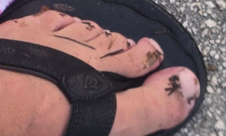 Screenshot 2025-12-28 2.01.21 PM.png