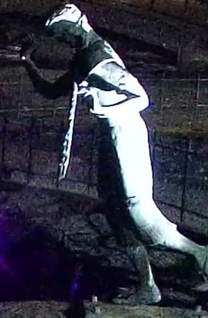 Screenshot 2026-01-23 11.39.42 PM.png