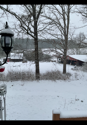 IMG_1625.png IMG_1625.png