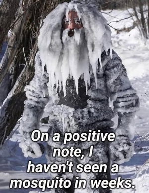 1769969907457.png 1769969907457.png