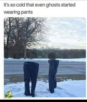 1769970486270.png 1769970486270.png