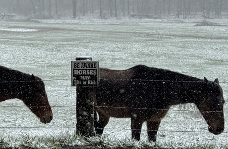 Screenshot 2026-03-17 3.56.18 AM.png