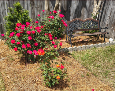 Screenshot 2026-04-13 2.22.23 PM.png