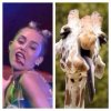 Miley-Cyrus-and-the-Giraffe.jpg