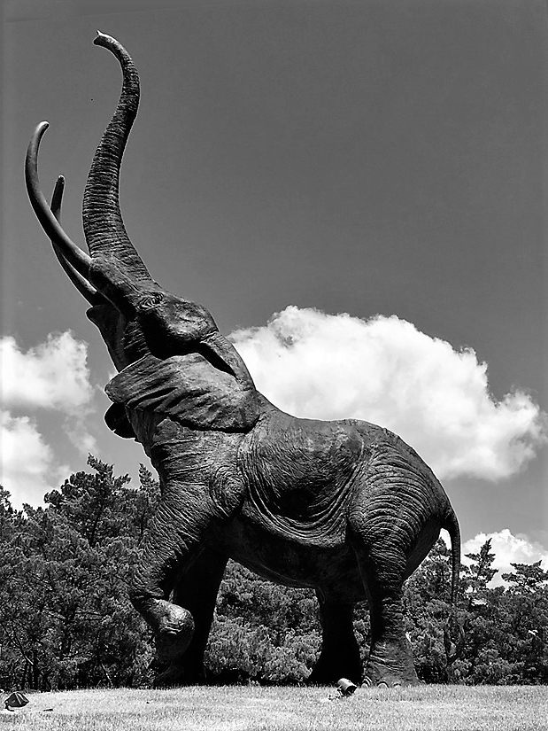 elephant-3a.jpg