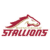 Birmingham Stallions