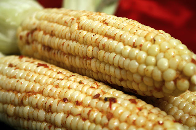 corn+cob2.jpg