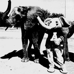 bigalelephants1991_medium.jpg