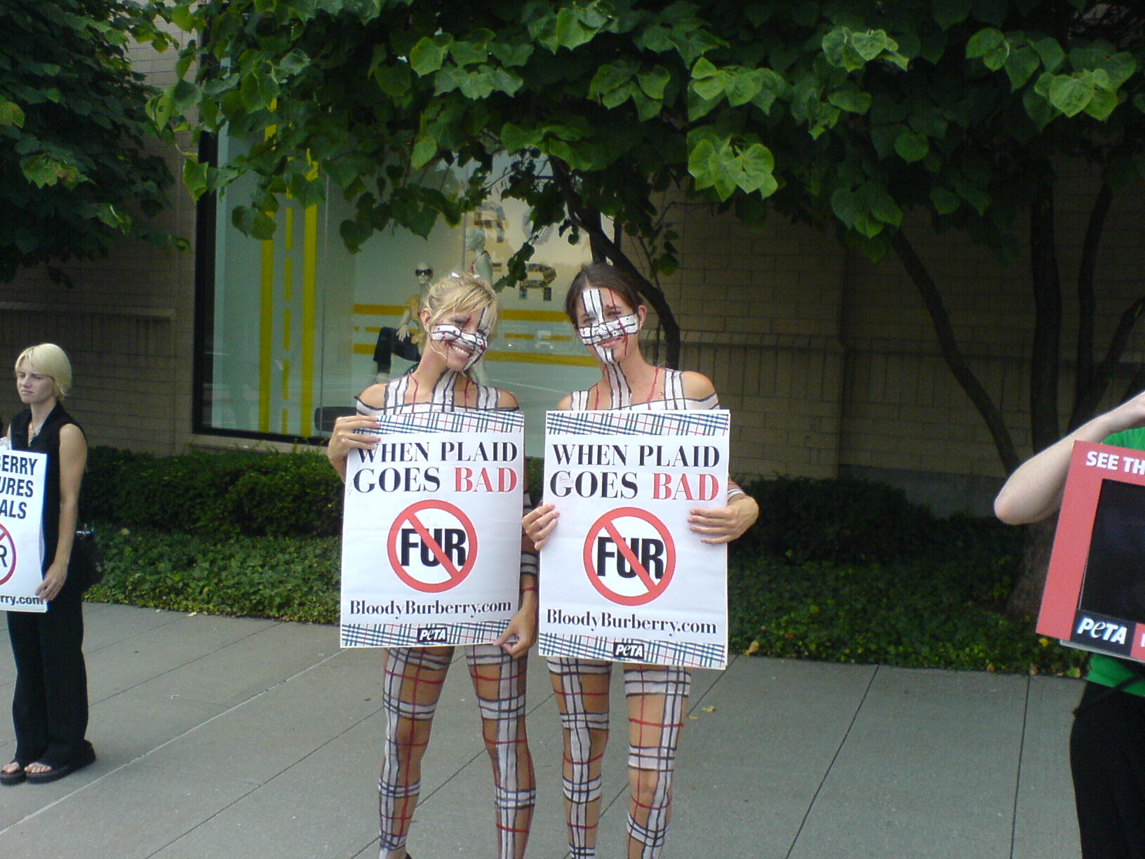 Peta_White_Plains_20070711-1.jpg
