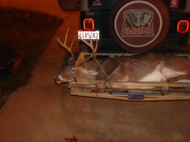 kevins-9-point-deer-001.jpg