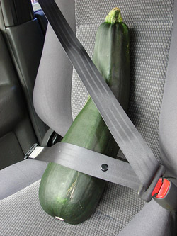 zucchini-car.jpg