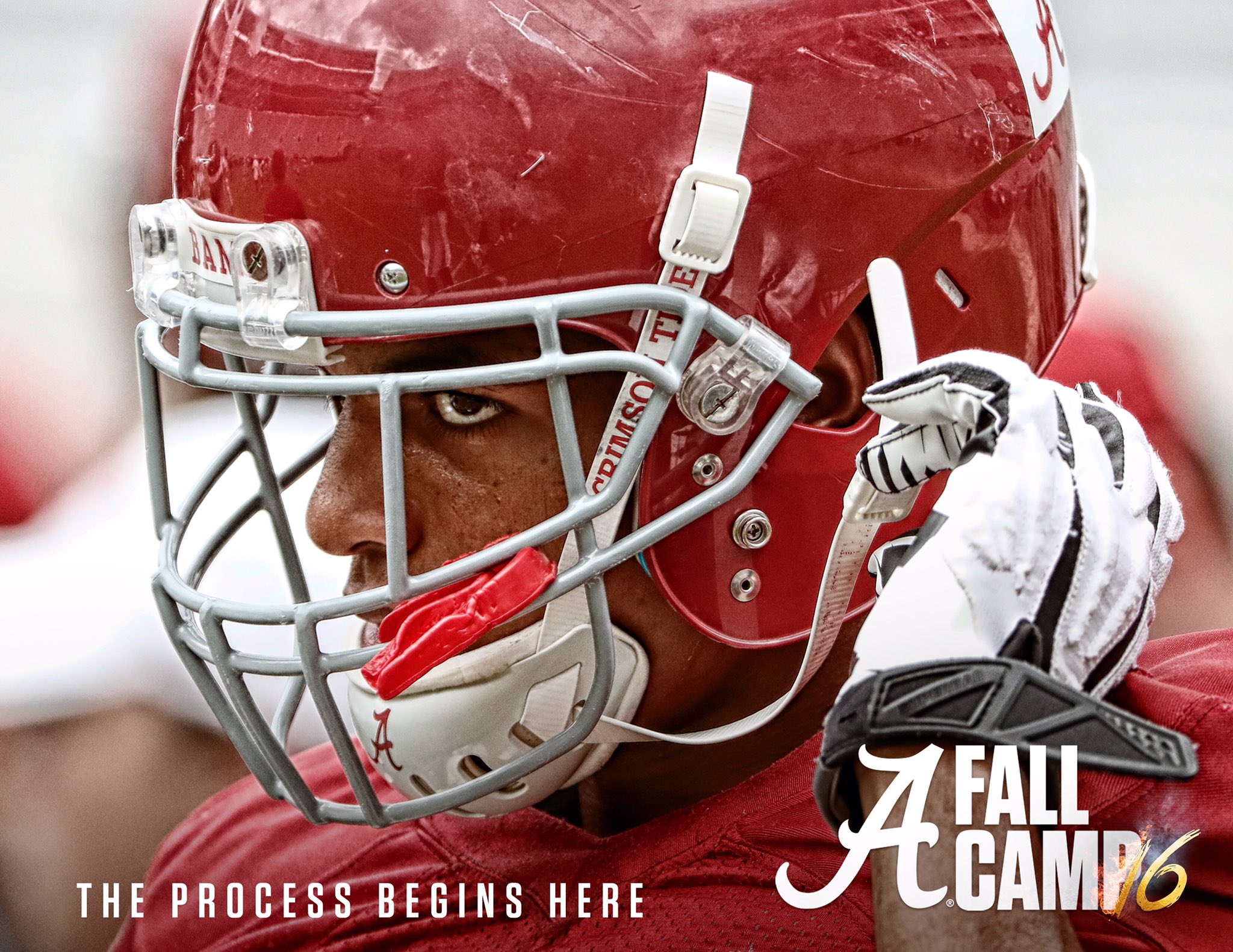 CpxocisXYAAJZbP.jpg:large