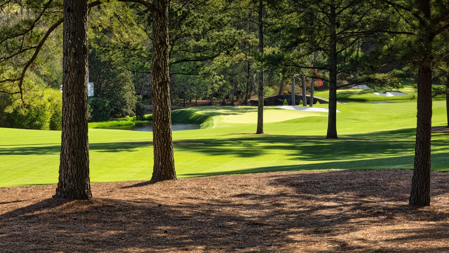 A view of No. 11 green through the rightside trees image