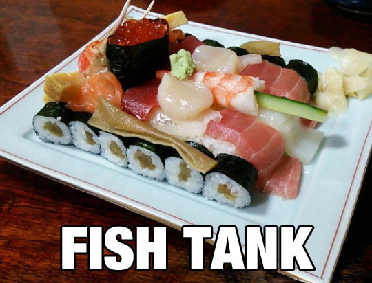 funny-pictures-fish-tank-sushi.jpg